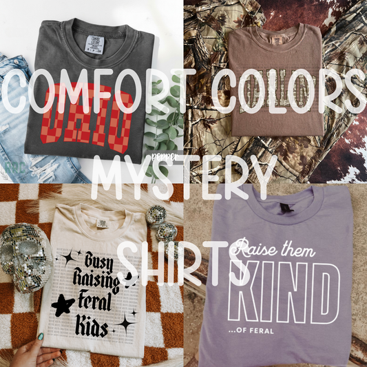 MYSTERY WOMEN’S COMFORT COLORS TEE
