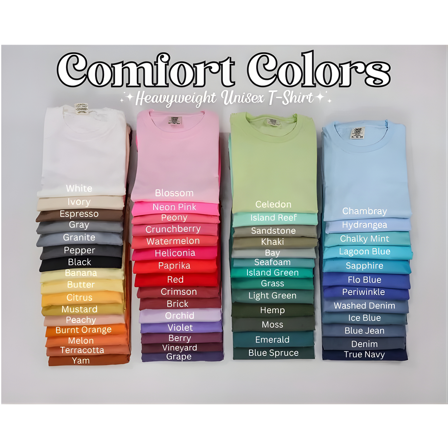 MYSTERY WOMEN’S COMFORT COLORS TEE