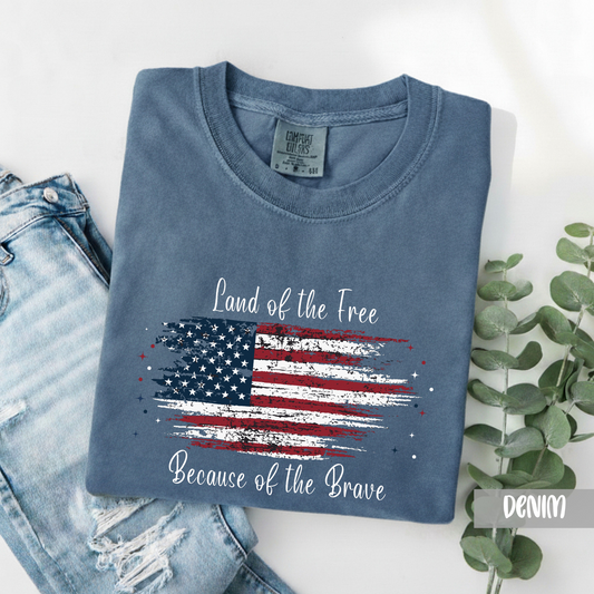 Land of the Free *COMFORT COLORS*